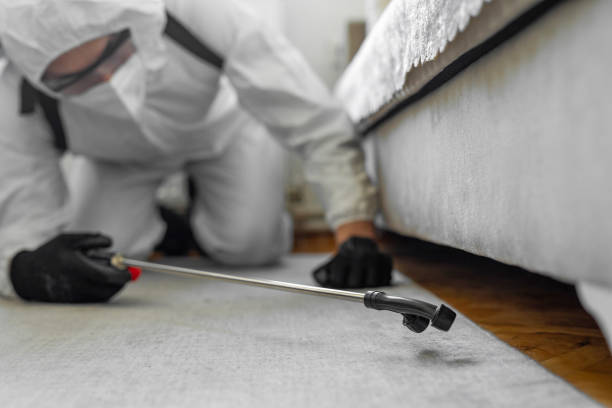 Professional Bed Bug Control technician working in Adamsville, AL